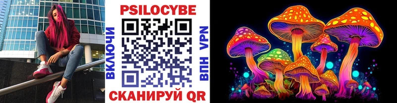 Псилоцибиновые грибы Cubensis Короча