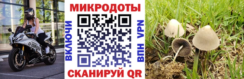 сколько стоит  ссылка на мегу ссылка  Псилоцибиновые грибы Cubensis  Короча 